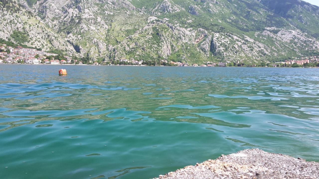 Apartment Radovic Kotor Eksteriør bilde